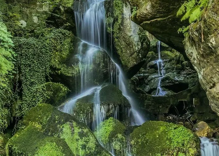 Eine Gemuetliche شقة كورورت غوريتش